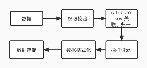 遥测数据处理流程：权限校验、Attribute key 关联归一、抽样过滤、格式化和存储
